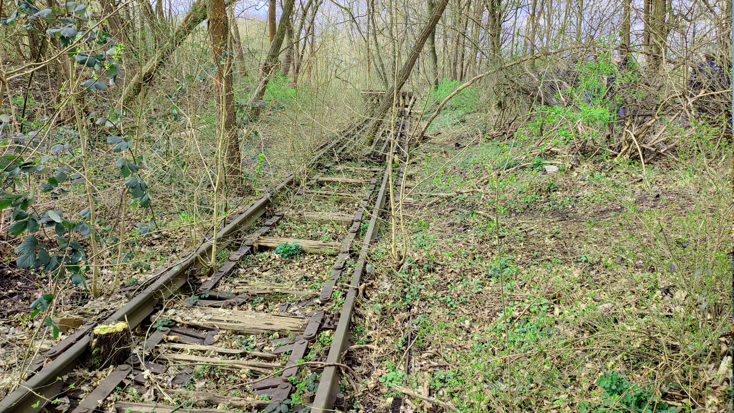 Potsdamer Stammbahn: Ehemaliger Halt Düppel-Kleinmachnow, Foto: VBB