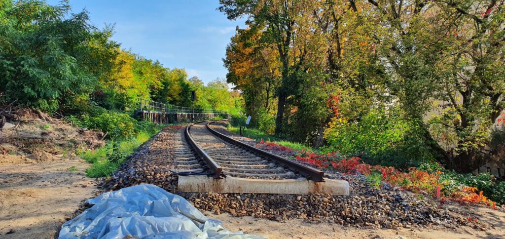 Begehung Potsdamer Stammbahn: Niemetzstraße Richtung Baumschulenweg, Foto VBB