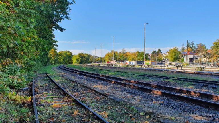 Begehung Potsdamer Stammbahn: Zehlendorf Richtung Wannsee, Foto VBB