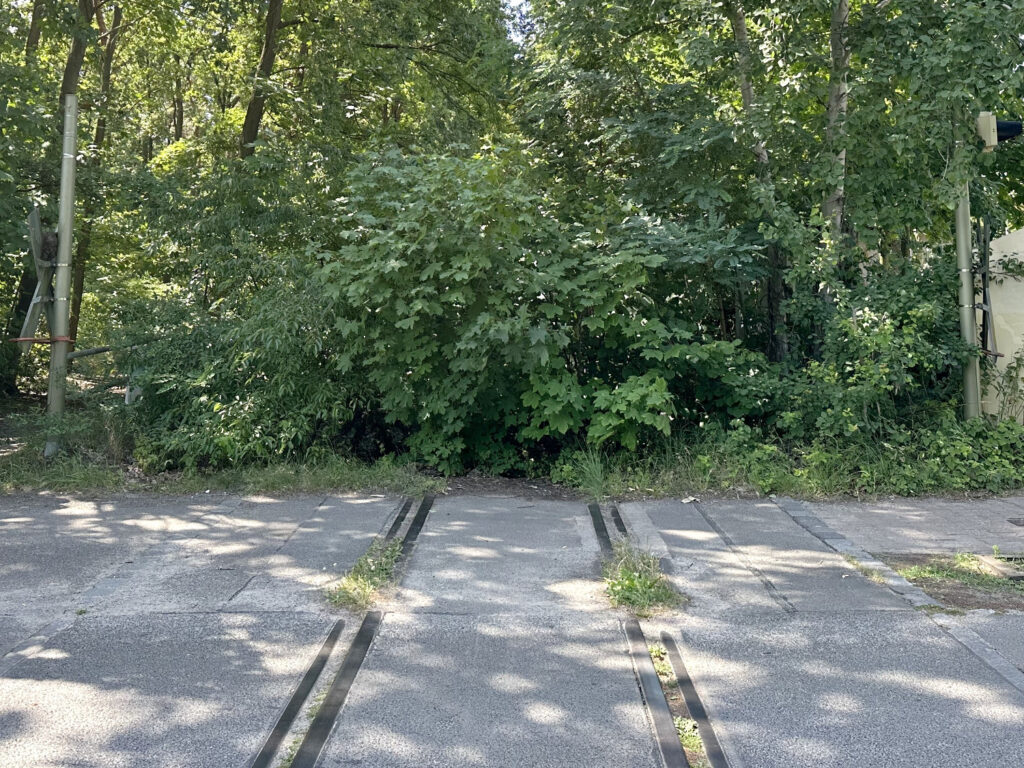 Wichernstraße mit Blickrichtung Johannesstift im Sommer 2023. Foto: Bahnkonzept GmbH Deutschland, Dresden