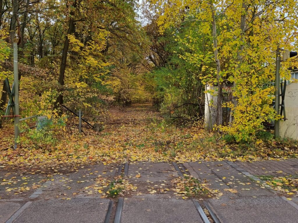 Wichernstraße mit Blickrichtung Johannesstift im Herbst 2023. Foto: Wilhelm Kemming GmbH, Roßwein